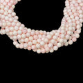Queen Conch Shell A Grade Round 8mm